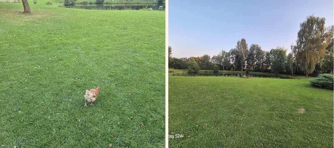 Brasserie Des Etangs David - Gallery Image 2